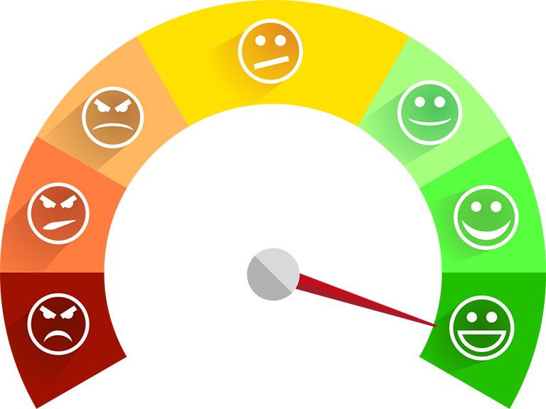 Survey Icon